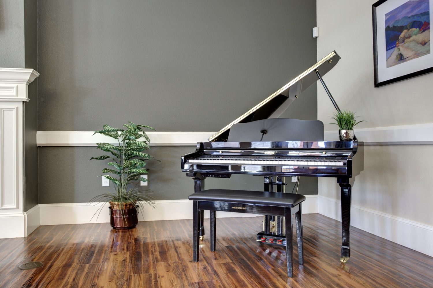 Elegant black grand piano in a modern living room with wooden flooring.
